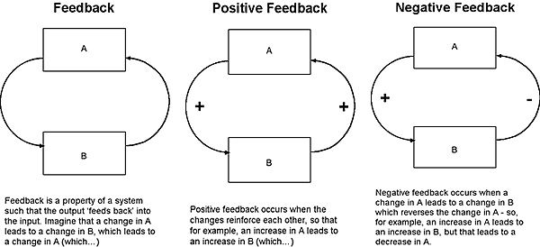 Feedback diagrams