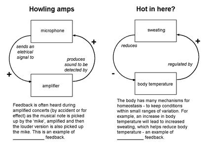 Feedback diagram 2