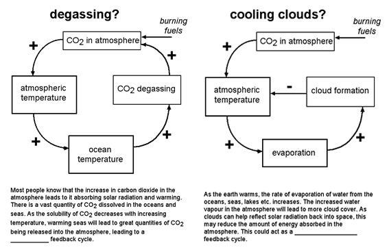 Feedback diagram 3