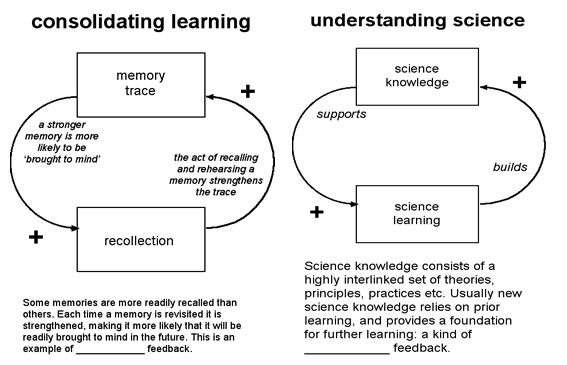 Feedback diagram 4