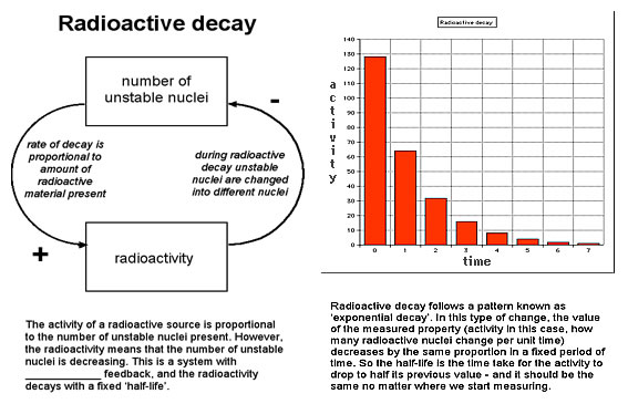 Feedback diagram 5