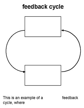 Feedback diagram 5.1